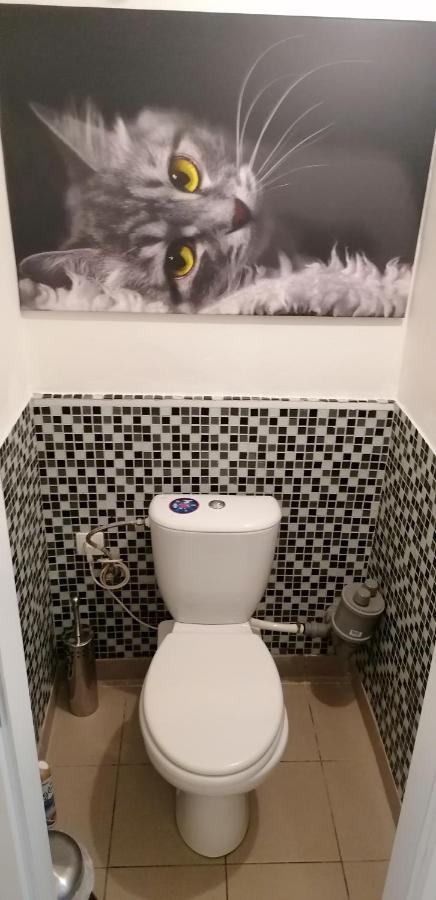 Jilska 449/14 Apartman Prága Kültér fotó